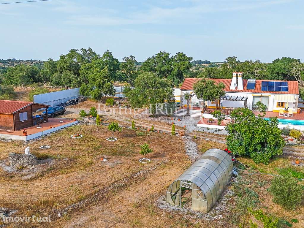 Quinta de 4.000m2 com Moradia T2, piscina e casa secundária - Grande imagem: 3/47