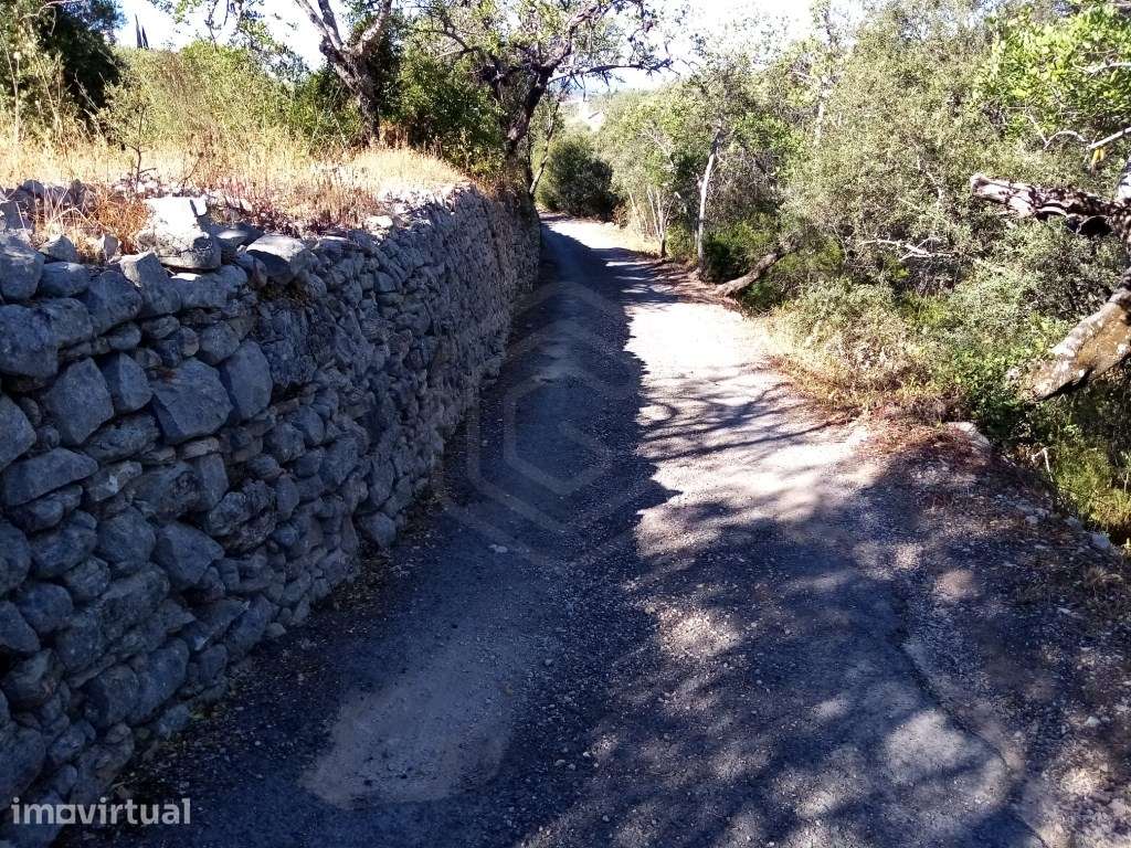 Terreno rústico com uma área de 3207 m2, Loulé, Algarve - Grande imagem: 4/23