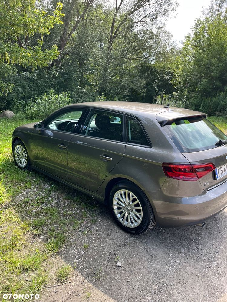 Audi A3 ver-1-6-tdi-ultra-attraction - 12