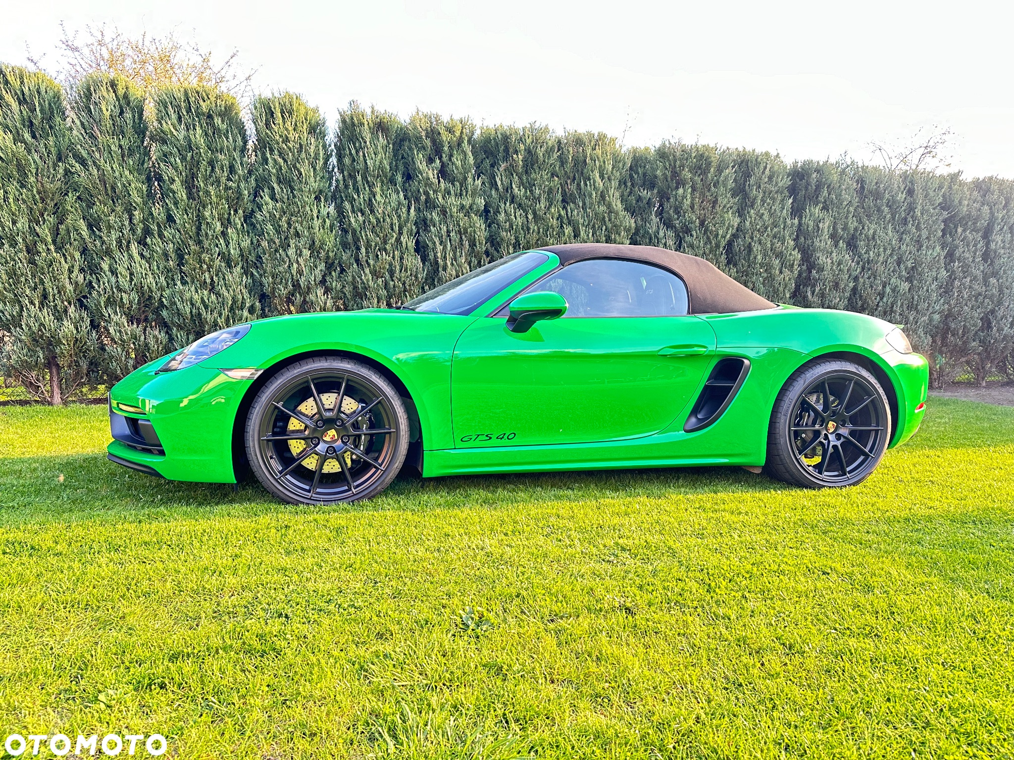 Porsche 718 Spyder - 22