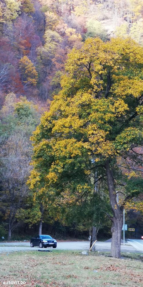 Renault Megane 2.0 Confort Dynamique - 26