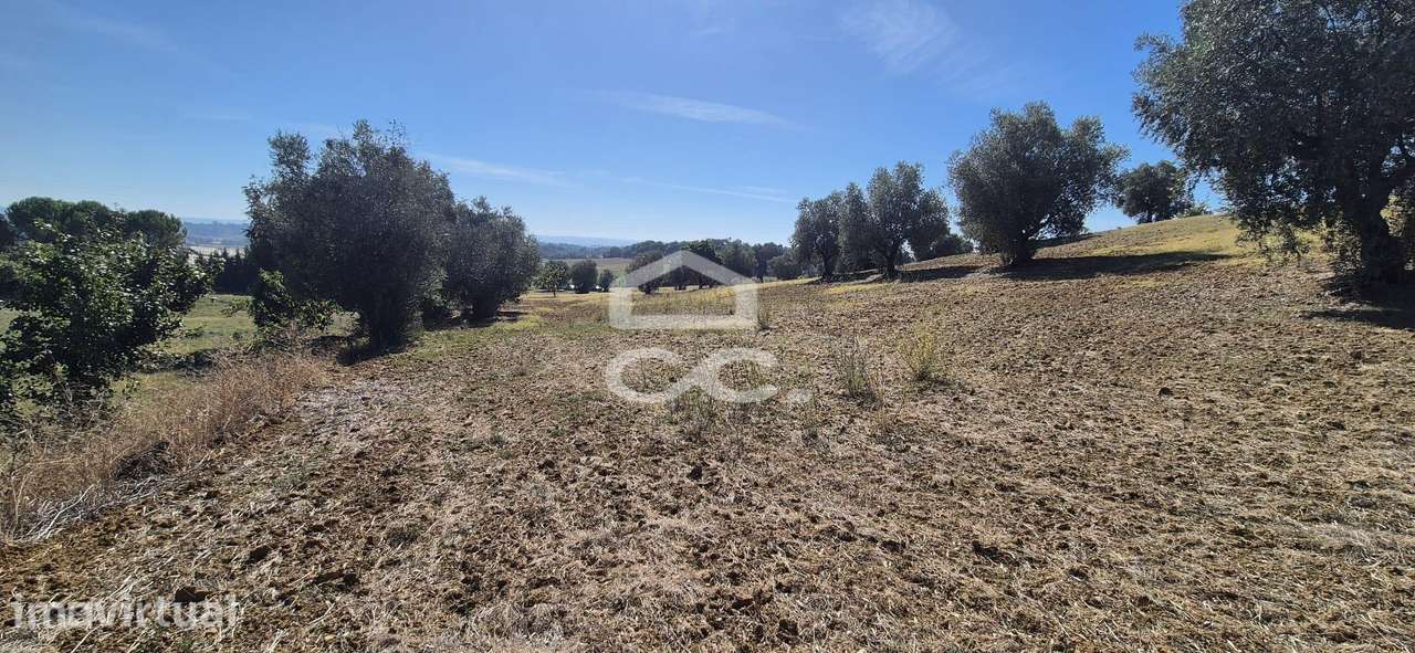 Terreno Rústico com 25.240 m² em Ferras, Gavata, Torres Novas – RAN - Grande imagem: 5/51