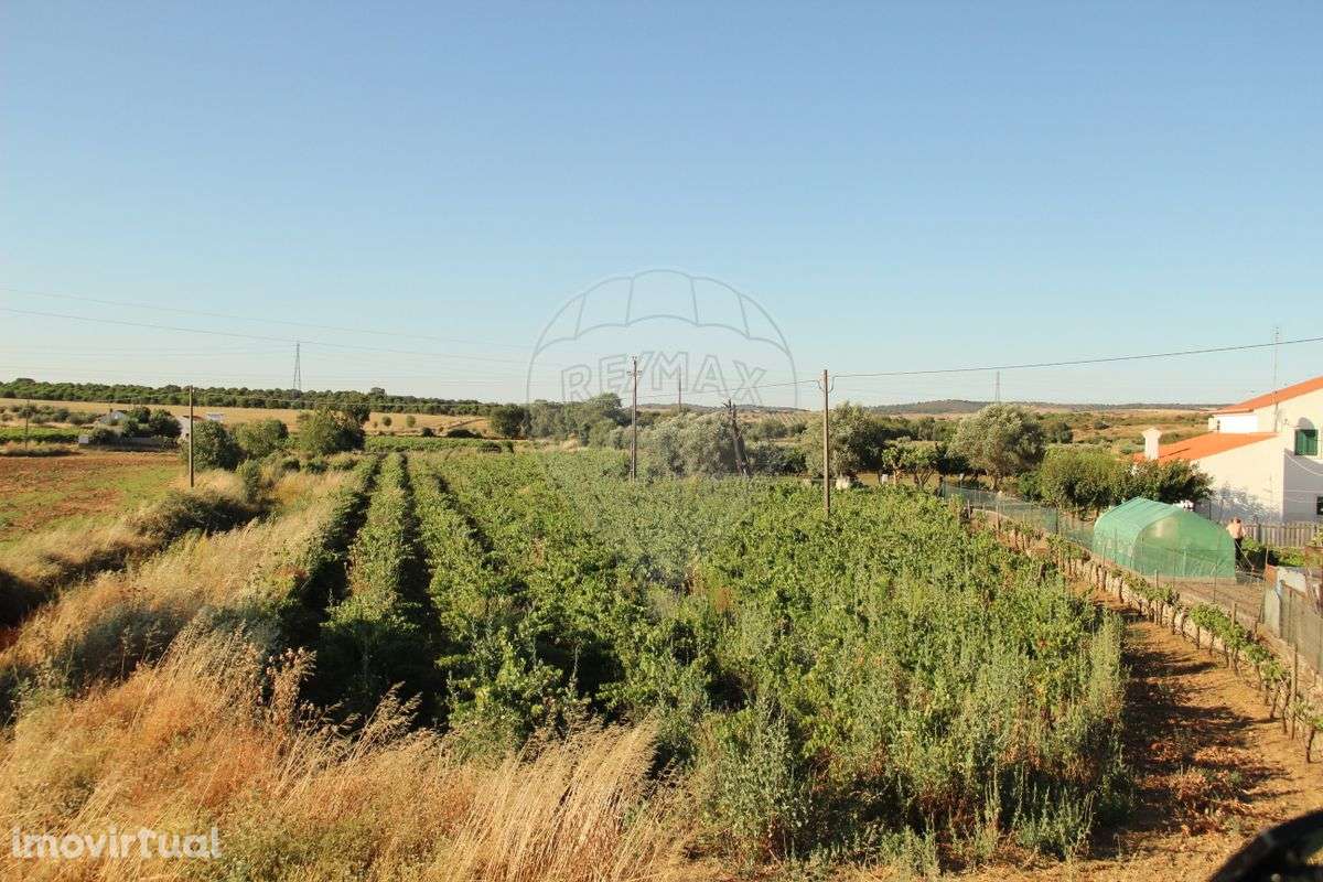 Terreno  para venda - Grande imagem: 2/33