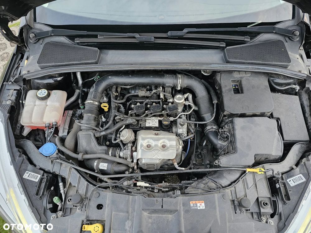 Ford Focus - 39