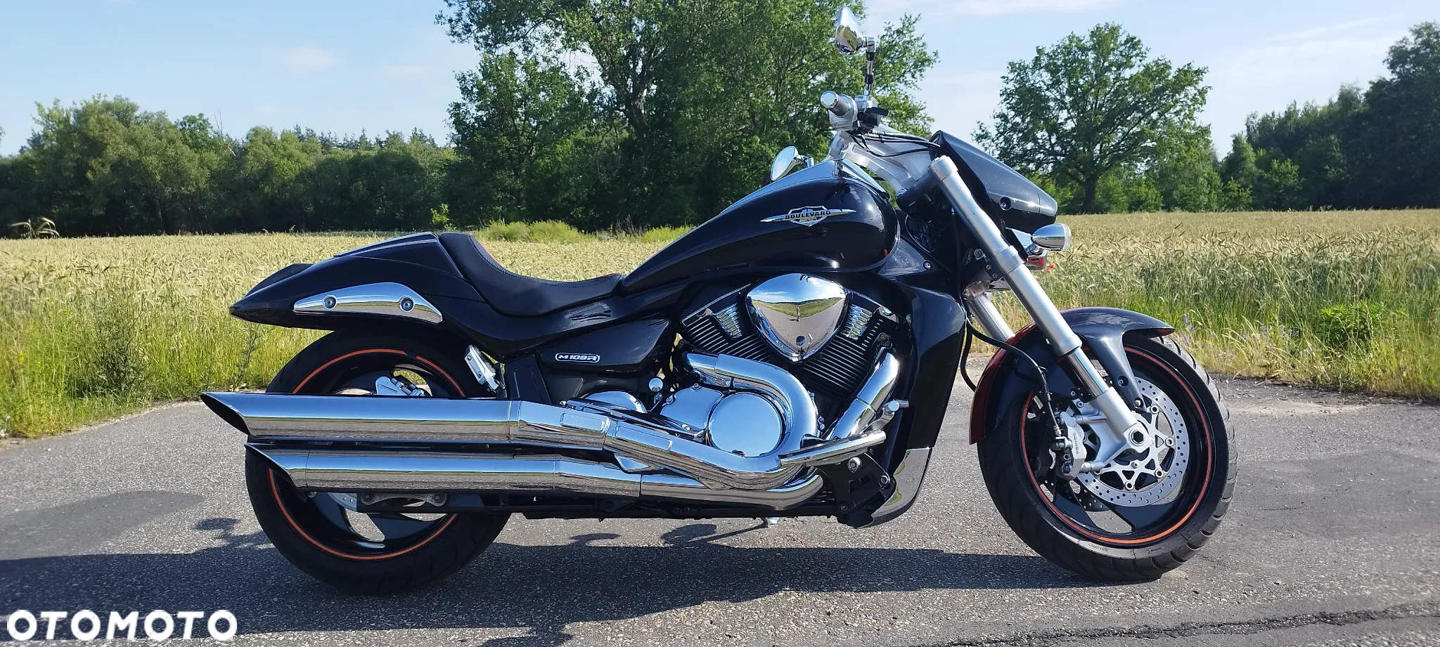 Suzuki Intruder - 9