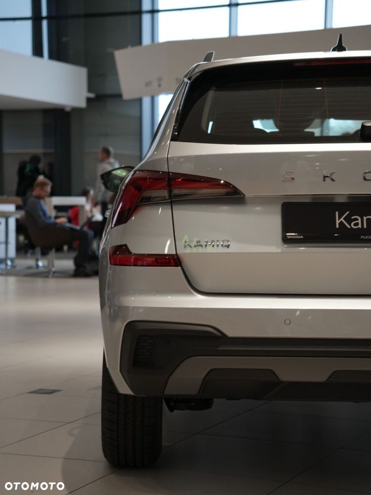 Skoda Kamiq - 9