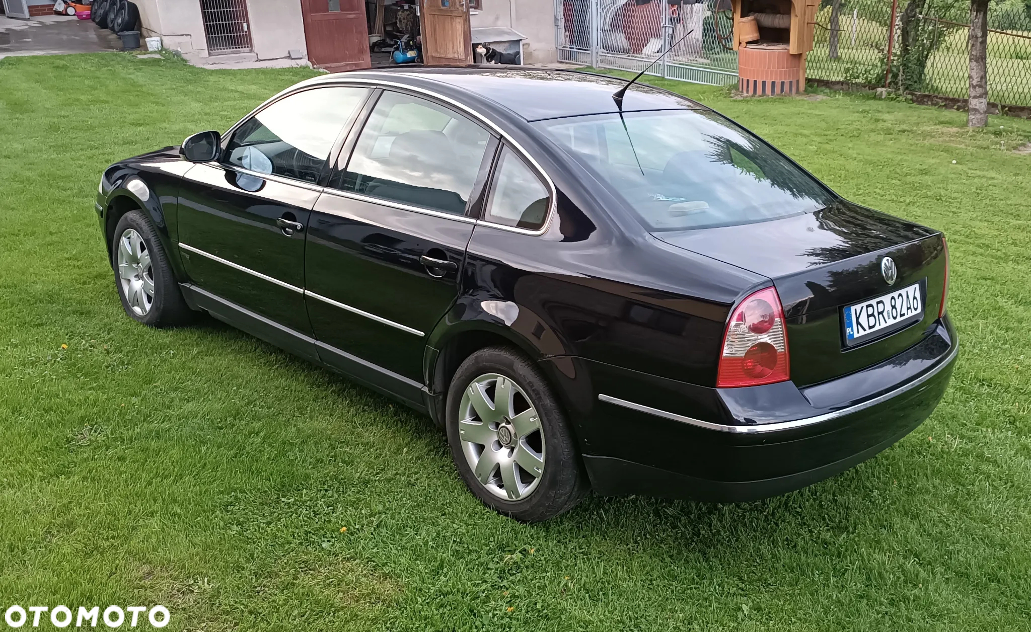 Volkswagen Passat - 7