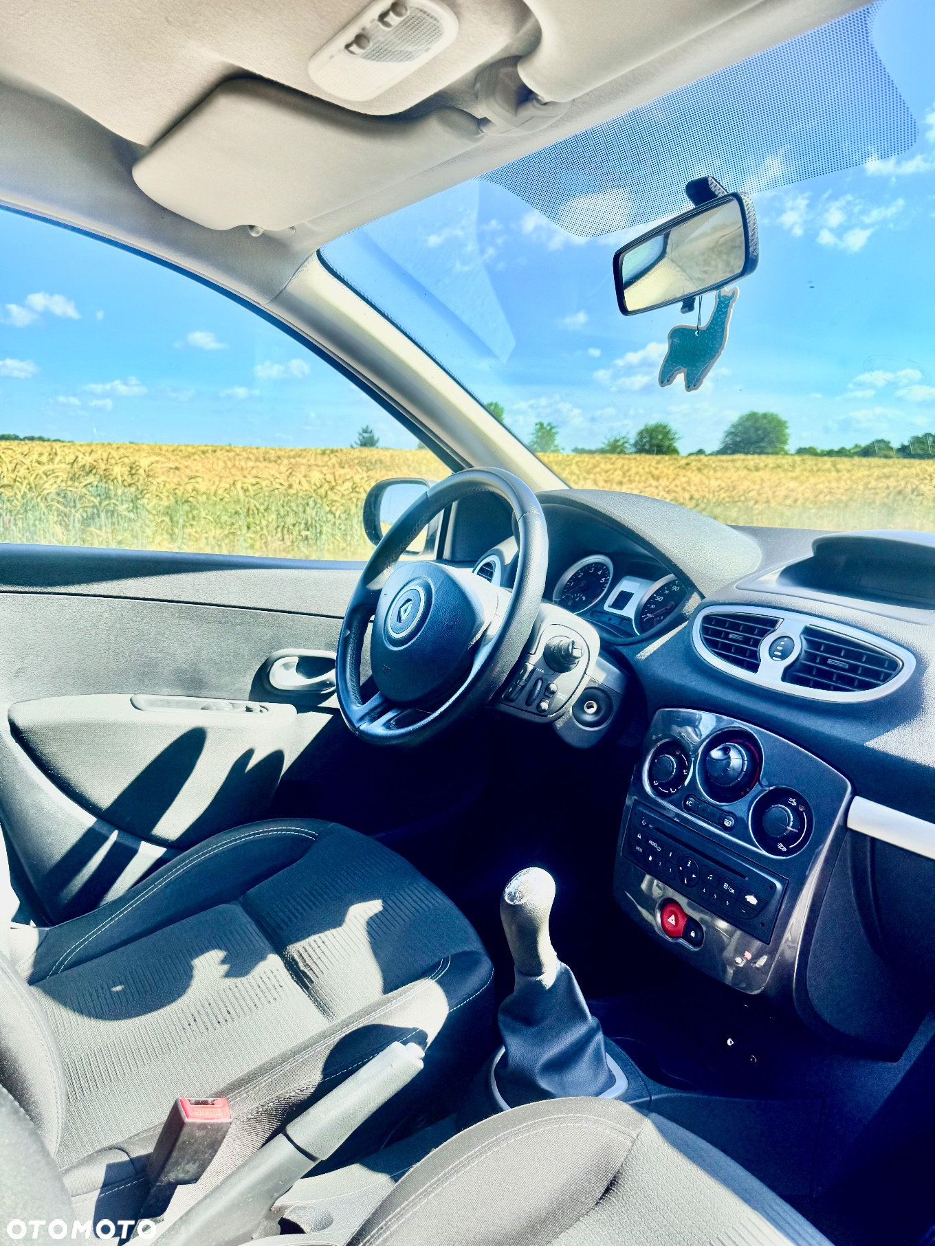 Renault Clio - 16