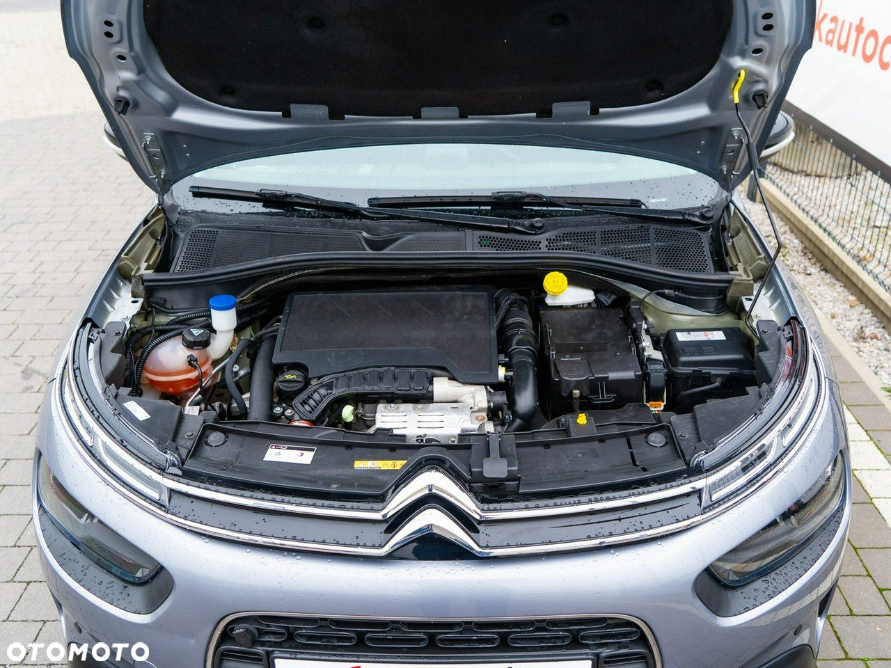 Citroën C4 Cactus - 18