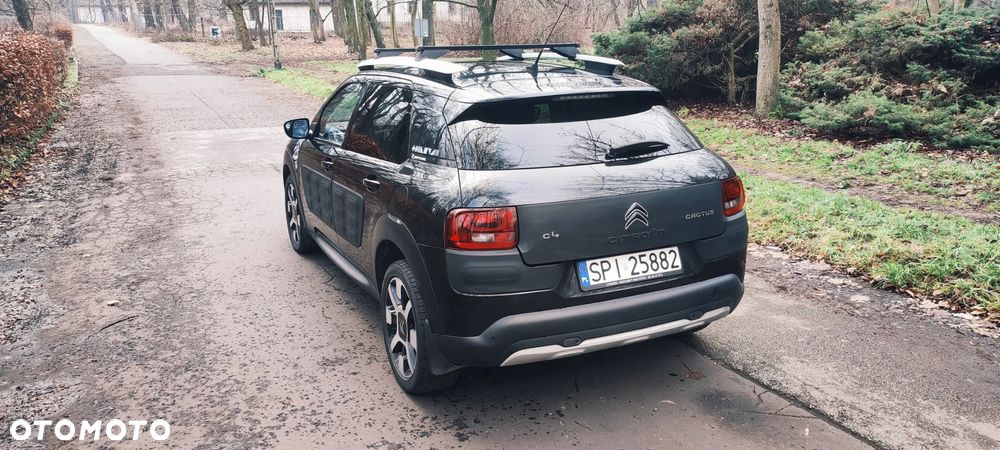Citroën C4 Cactus 1.2 PureTech Rip Curl S&S - 3