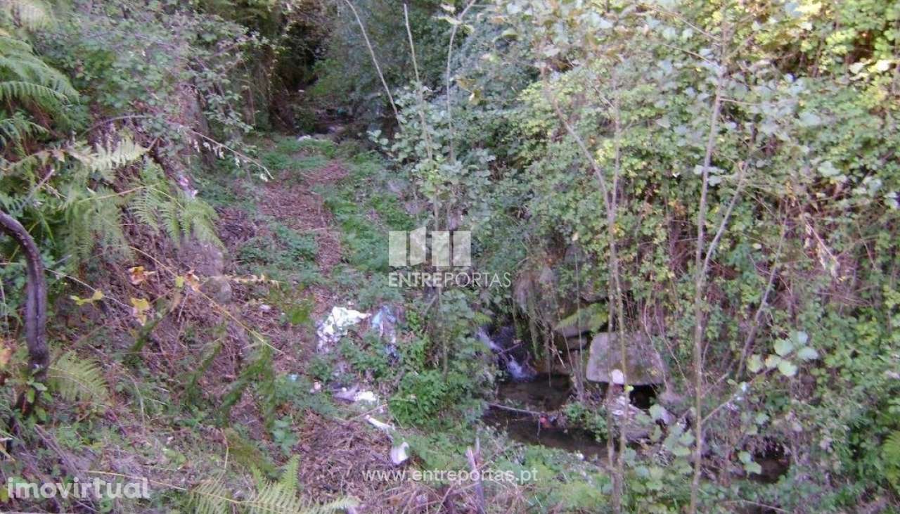 Venda Terreno, Sande, Marco de Canaveses - Grande imagem: 2/10