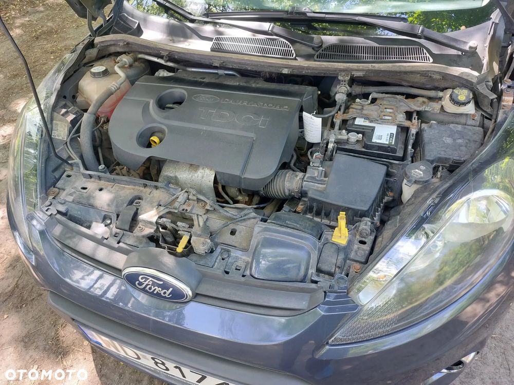 Ford Fiesta - 19