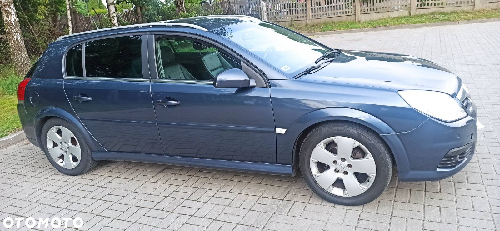 Opel Signum 1.9 CDTI - 5