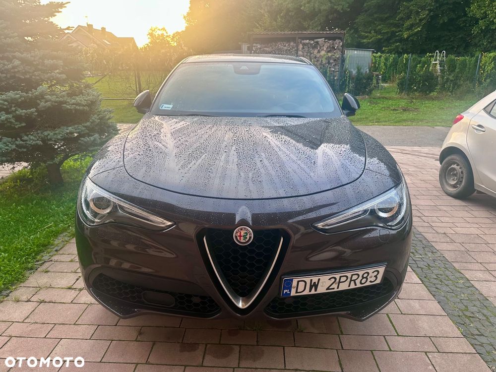 Alfa Romeo Stelvio 2.0 Turbo Executive Q4 - 3