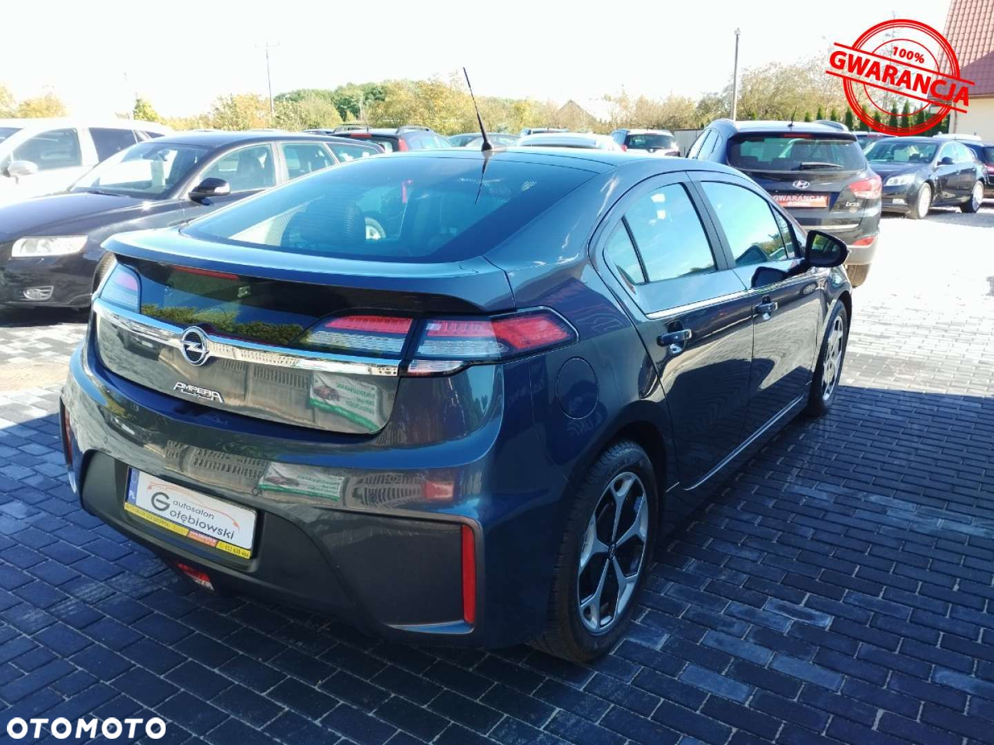 Opel Ampera - 12