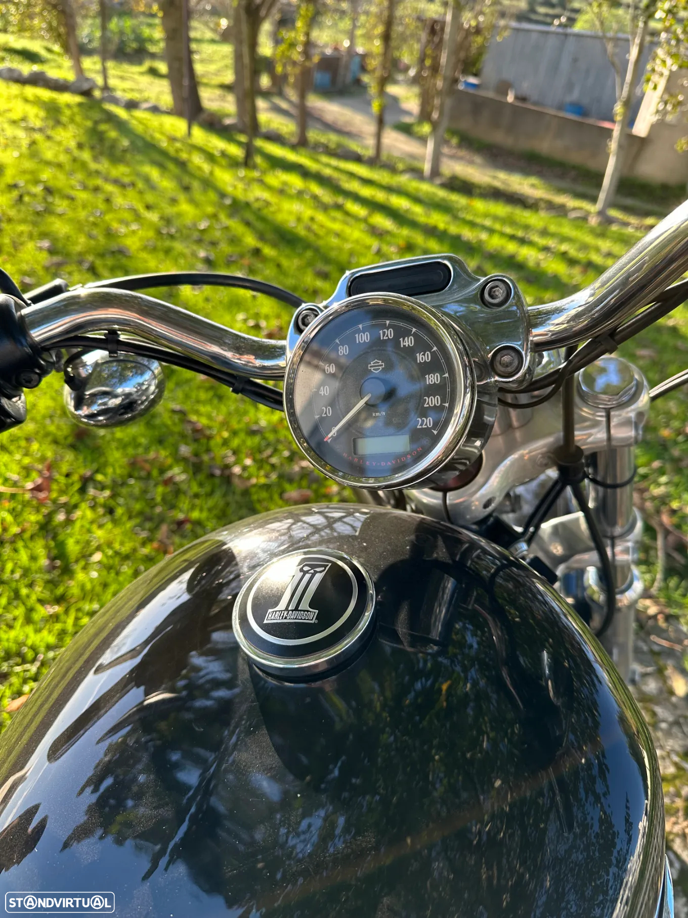 Harley-Davidson XL 1200C CUSTOM - 6