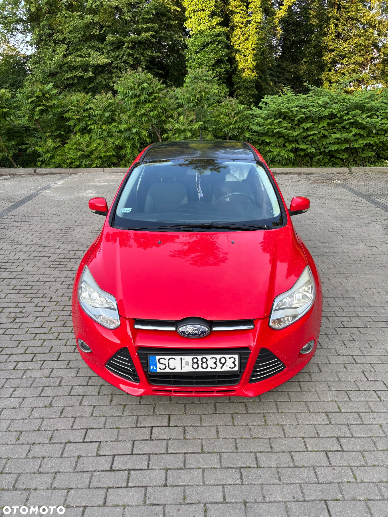 Ford Focus - 8
