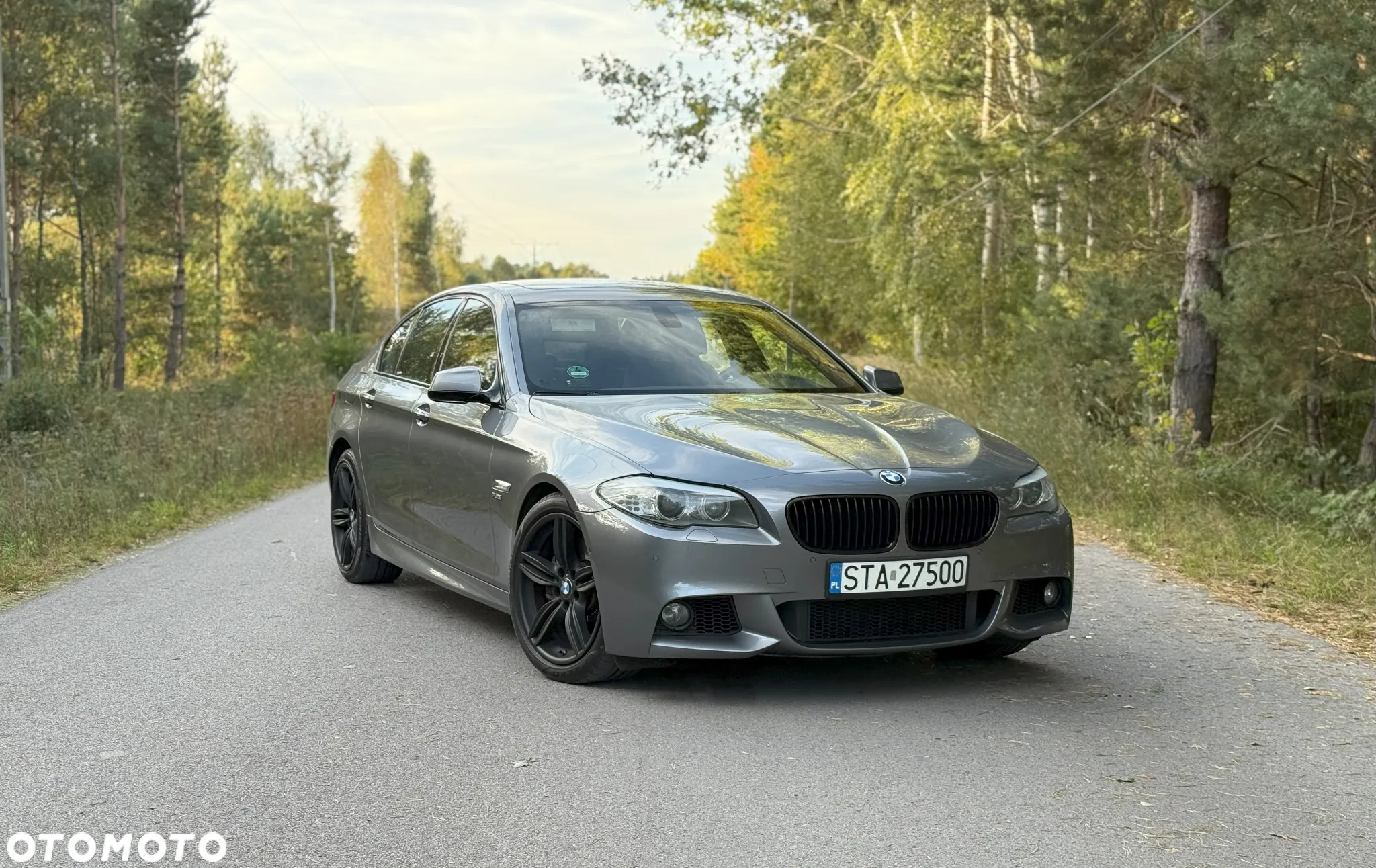 BMW Seria 5 550i - 4