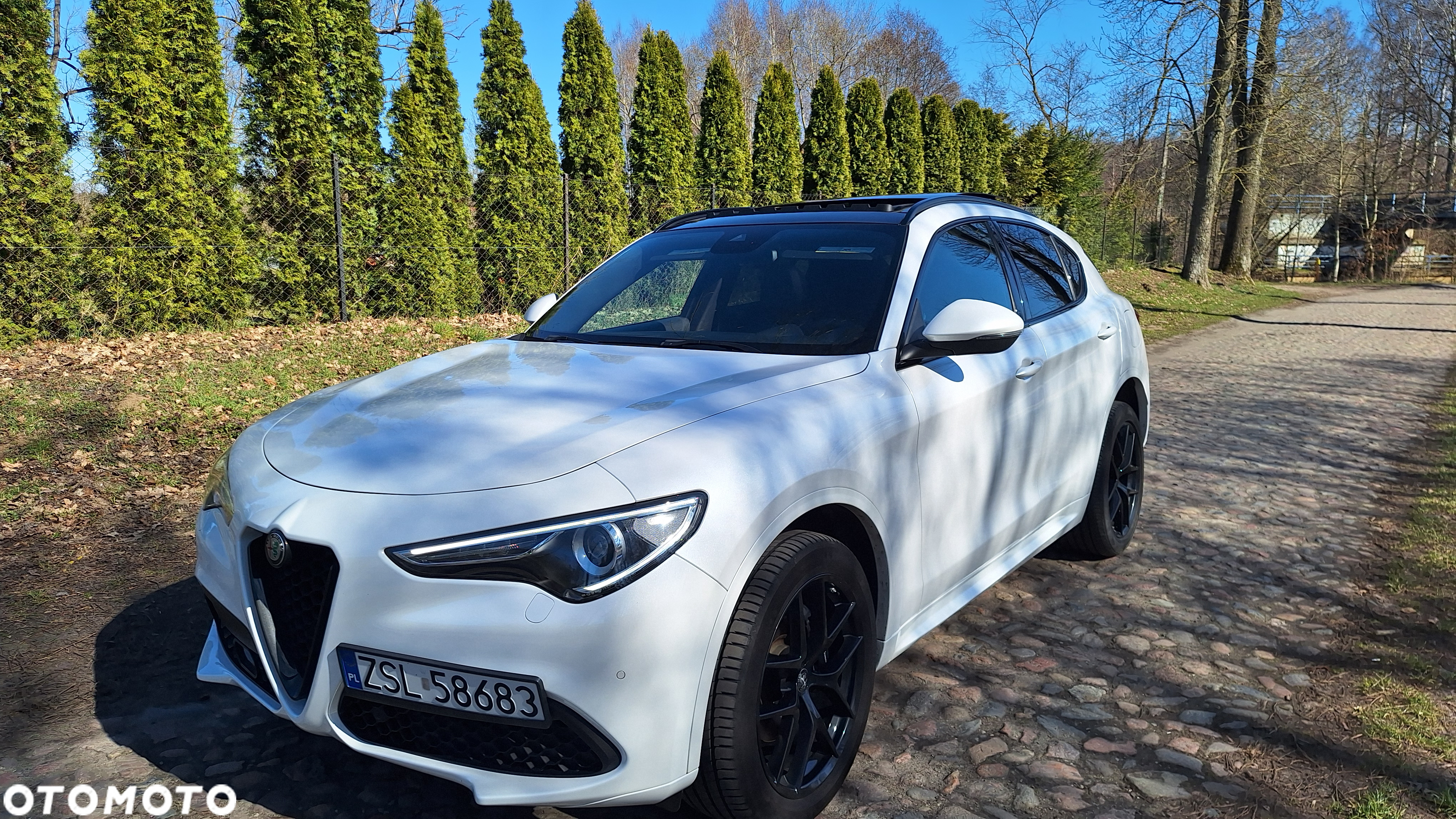 Alfa Romeo Stelvio 2.0 Turbo 16V AT8-Q4 Veloce Ti - 7