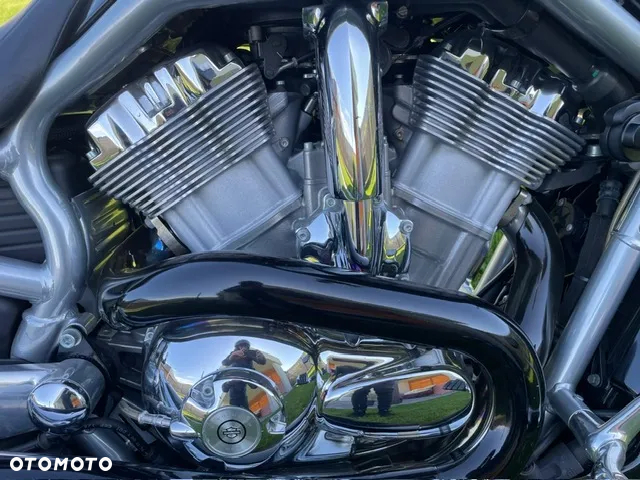 Harley-Davidson V-Rod Street Rod - 6