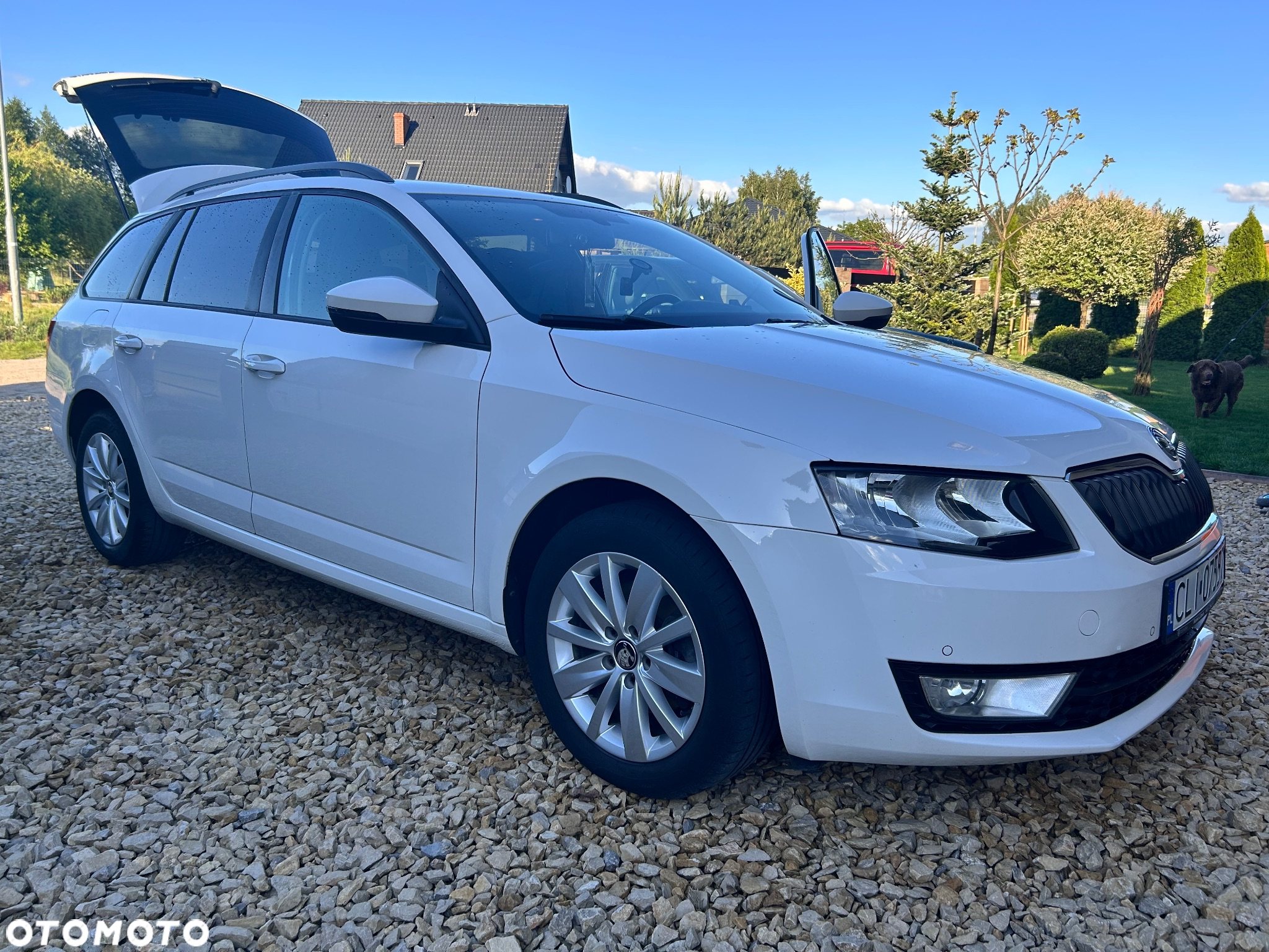 Skoda Octavia - 2