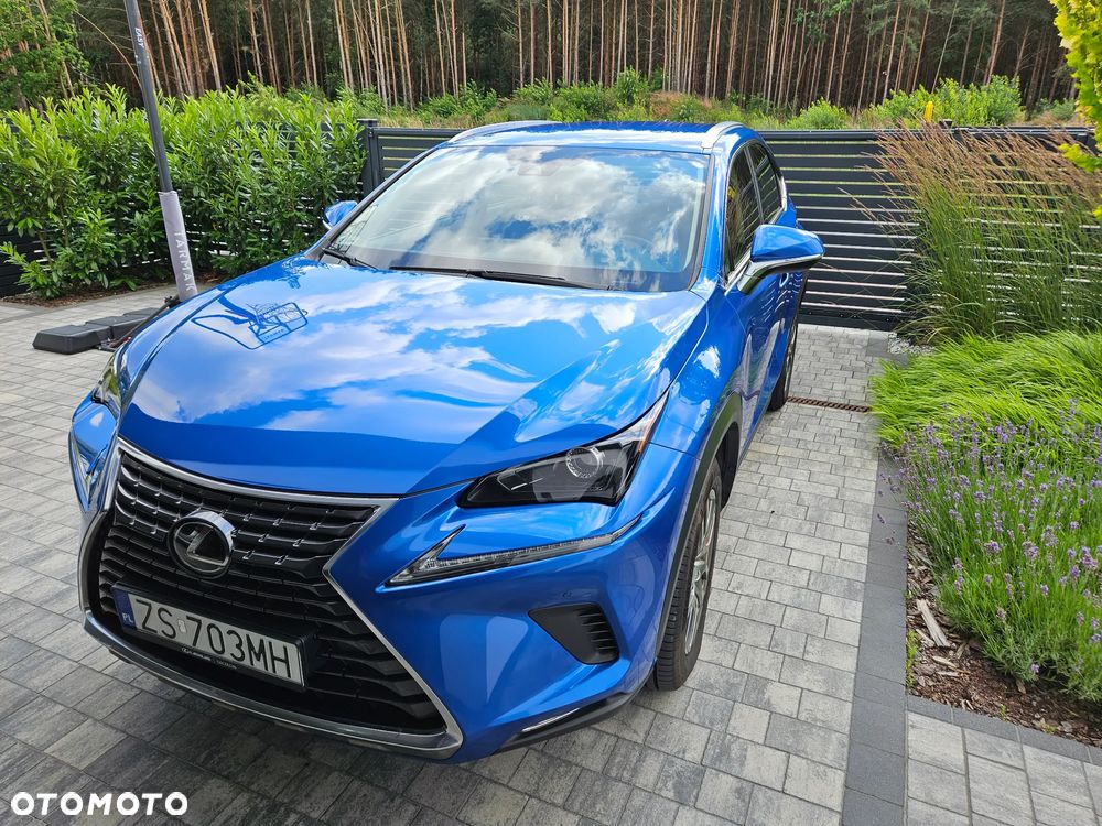 Lexus NX 300 Elegance Optimum AWD - 1