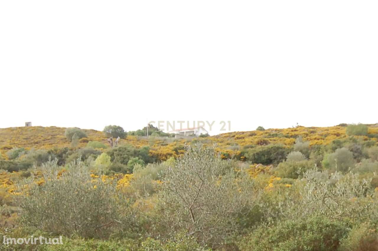 Terreno Rústico Novo em Sintra - Oportunidade Única! - Grande imagem: 2/12