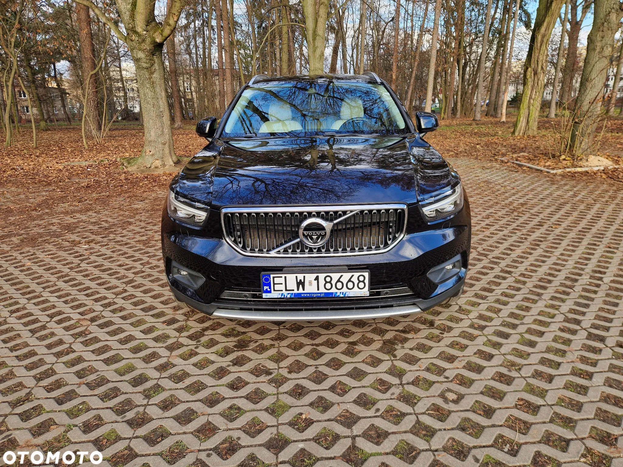 Volvo XC 40 T5 AWD Momentum - 2