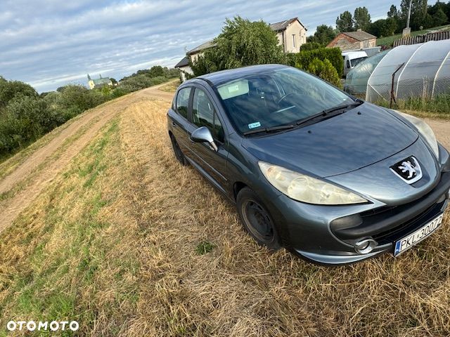 Peugeot 207 - 15