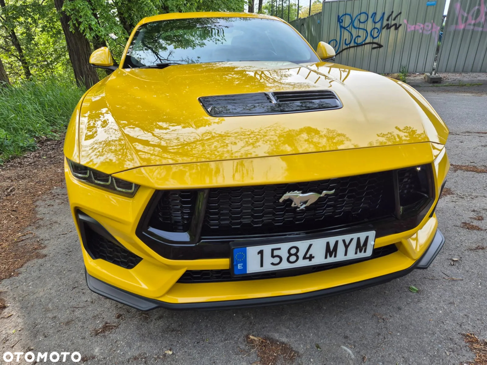 Ford Mustang Fastback 5.0 Ti-VCT V8 GT - 16