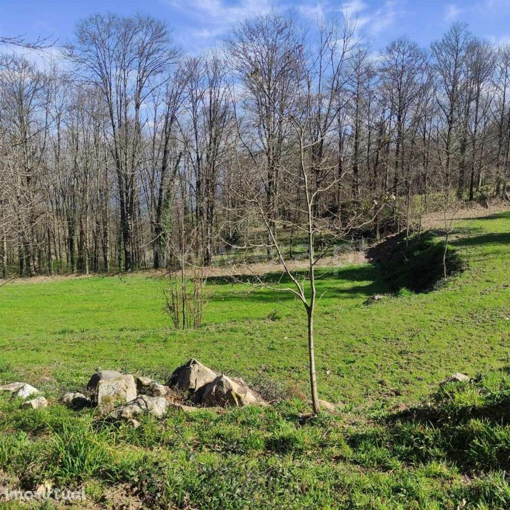 Quinta em Arnóia - Celorico de Basto - Grande imagem: 3/20