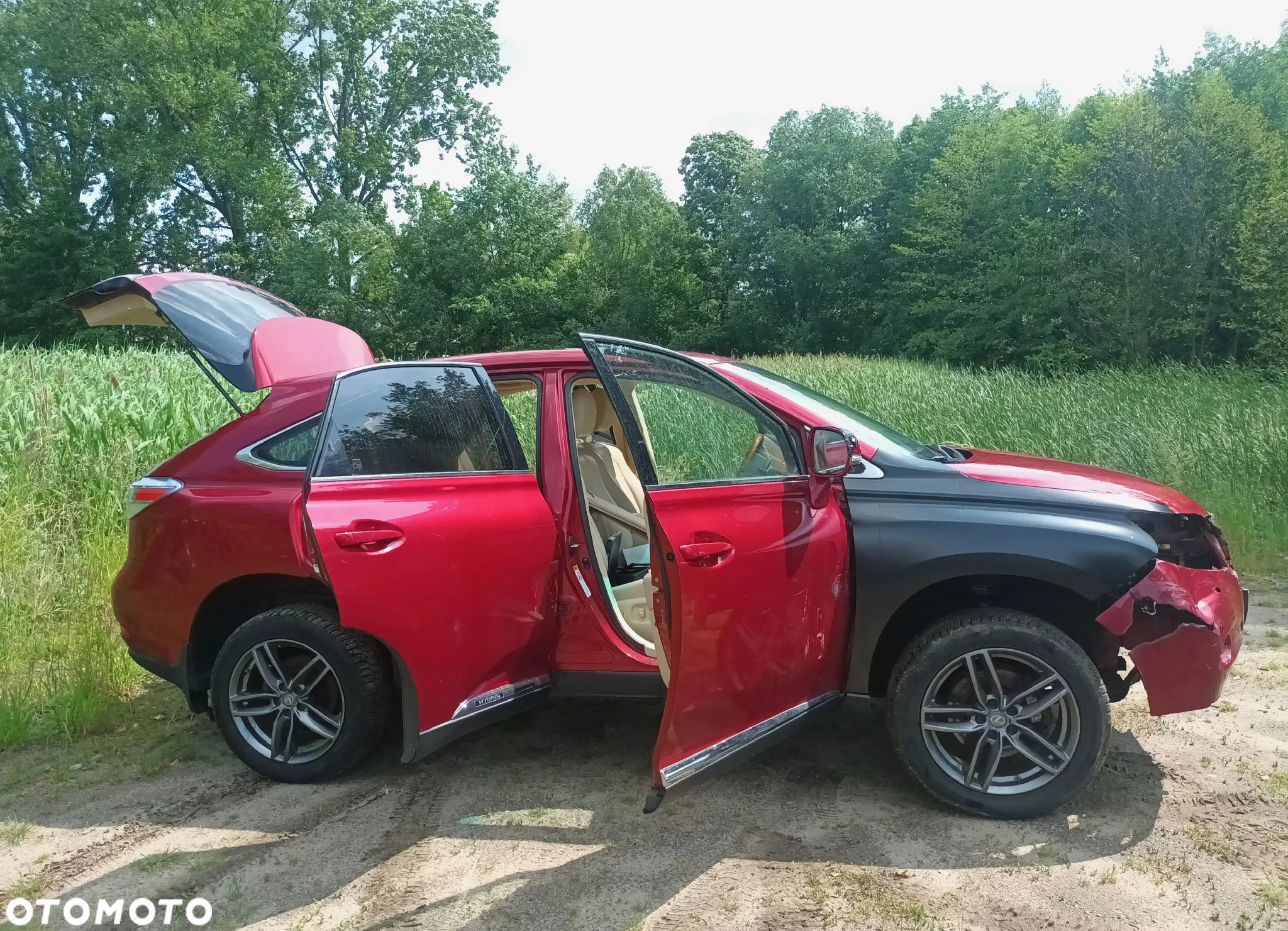Lexus RX 450h (hybrid) Executive Line - 30