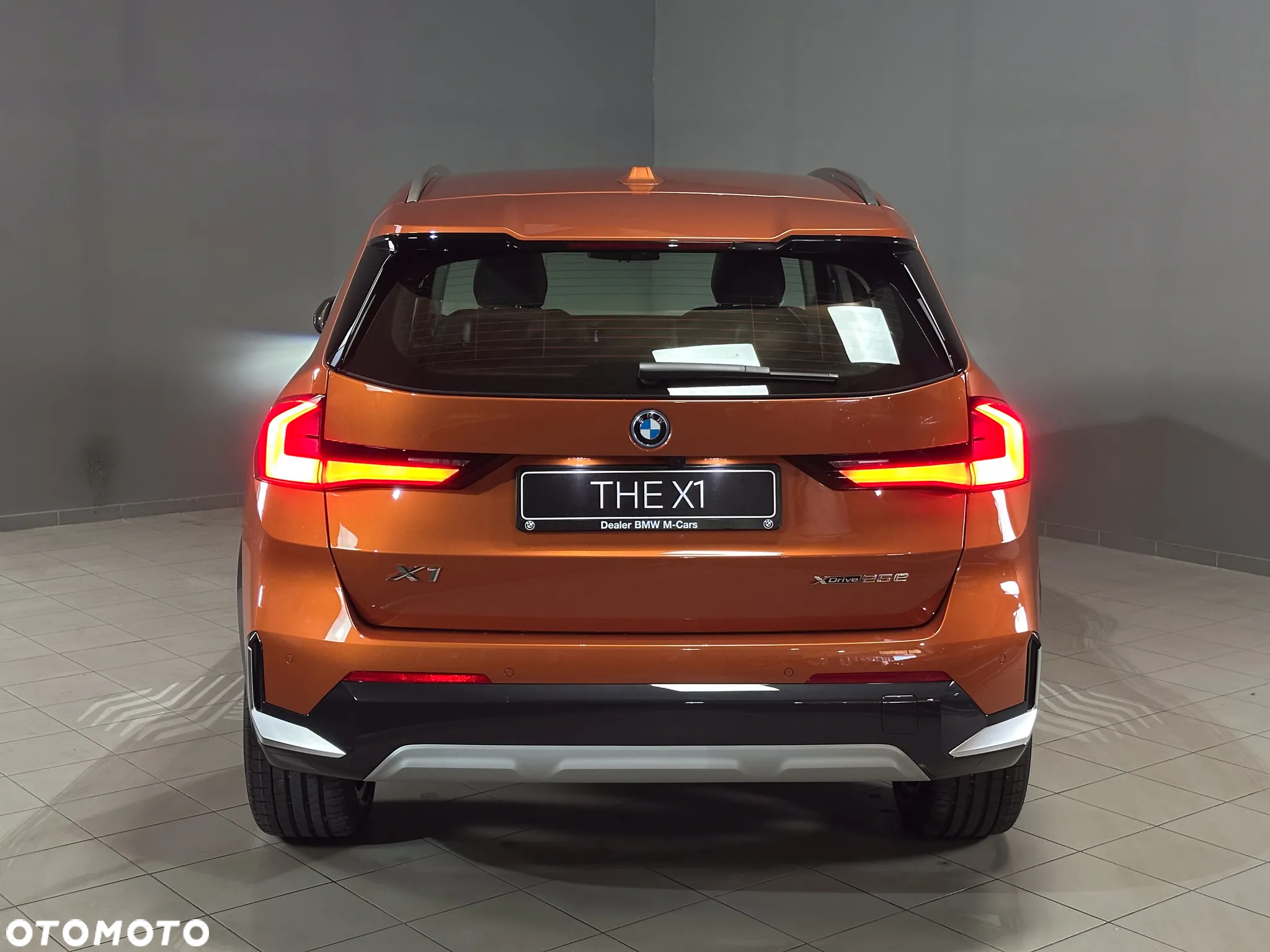 BMW X1 xDrive25e - 6