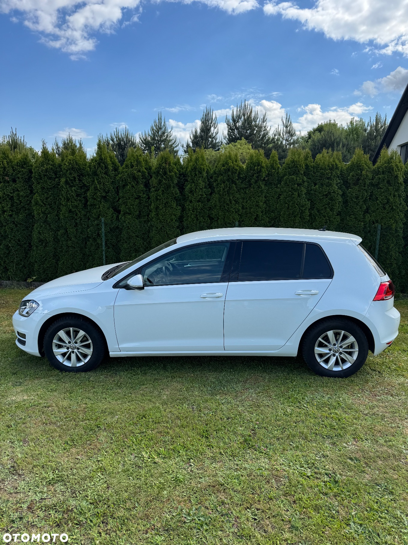 Volkswagen Golf - 13