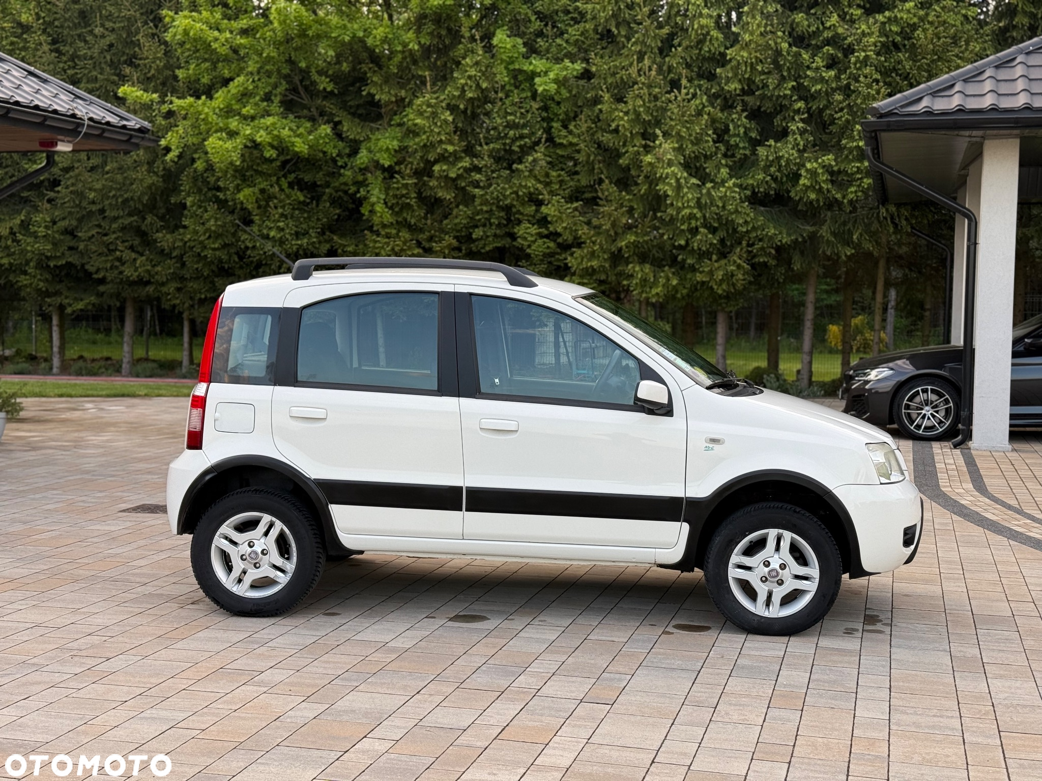 Fiat Panda 1.2 4x4 Climbing - 7