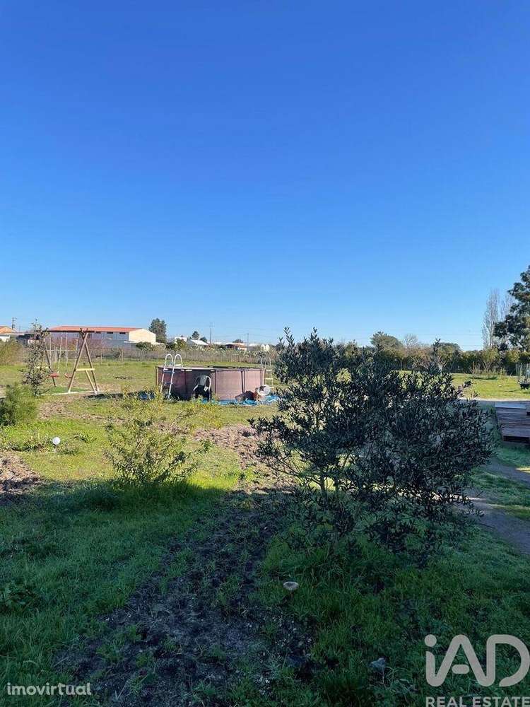 Terreno Agrícola em Poceirão e Marateca - Grande imagem: 5/10