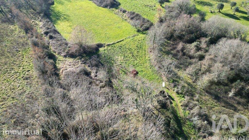 Terreno Agrícola em Espinhal - Grande imagem: 4/23