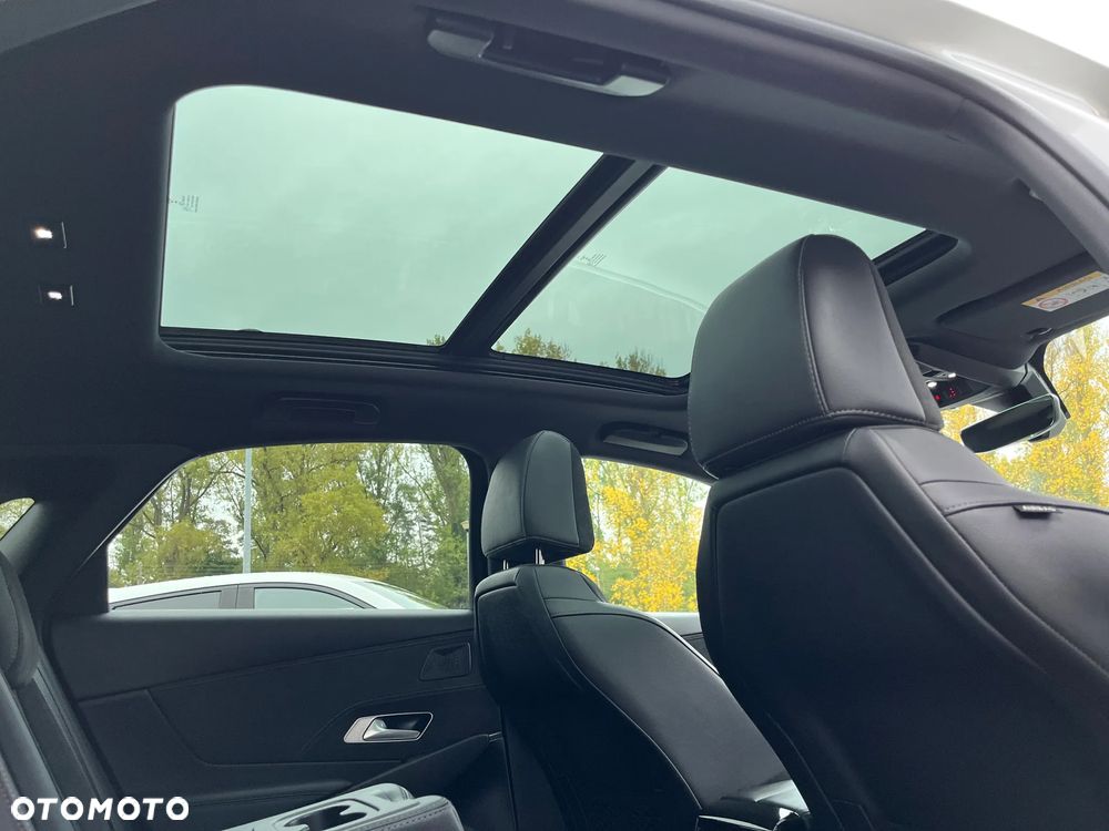 DS Automobiles DS 7 Crossback 1.6 PureTech Performance Line + - 20