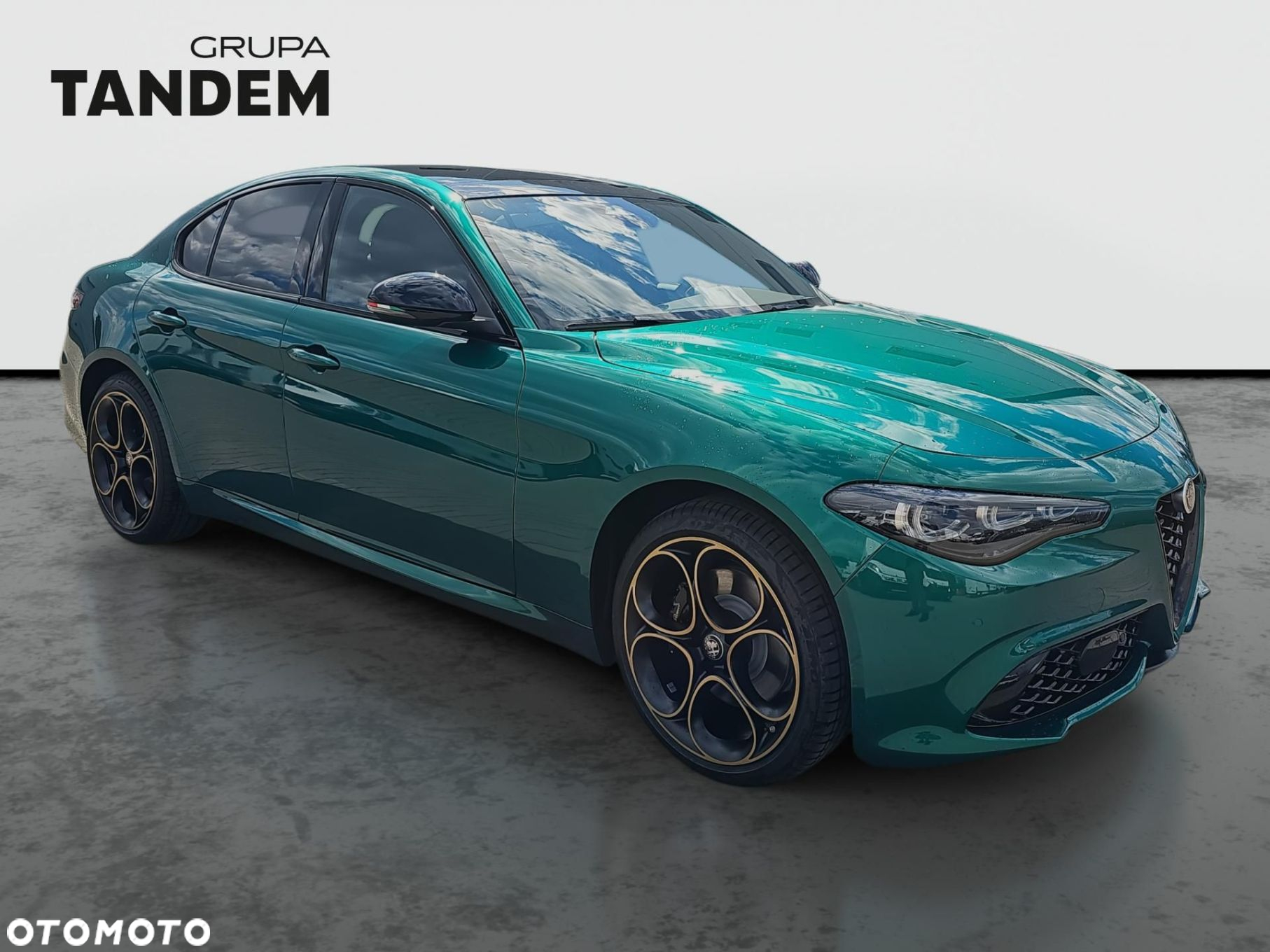 Alfa Romeo Giulia 2.0 Turbo Intensa Q4 - 3