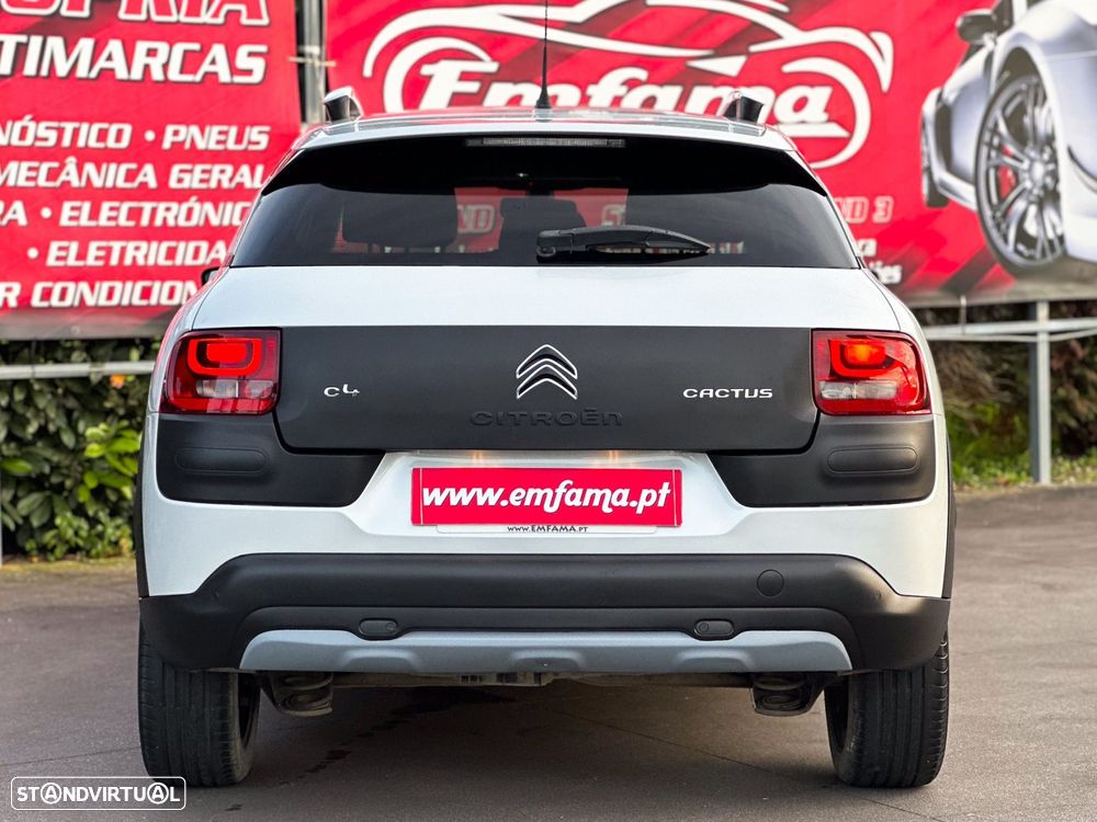 Citroën C4 Cactus 1.6 BlueHDi Rip Curl - 7