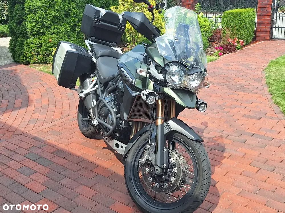 Triumph Tiger - 1