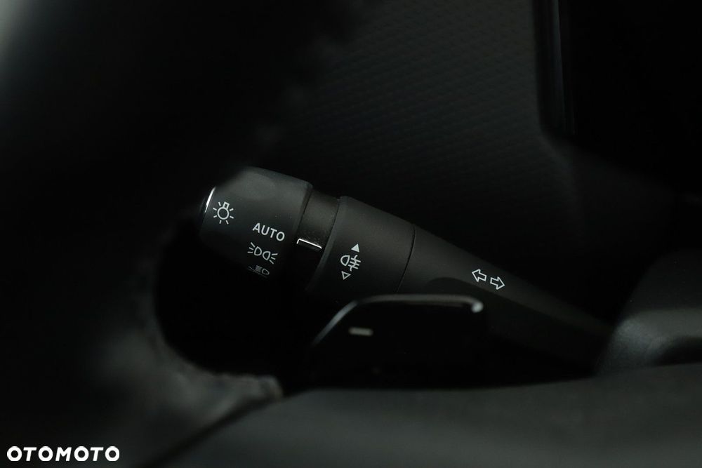 DS Automobiles DS 4 - 21