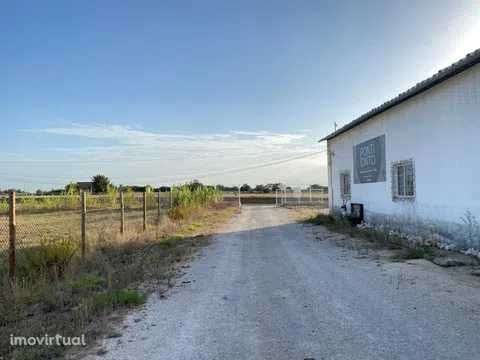 Arrenda-se Armazem com 200m2 tapados e logradouro de 150,com contracto - Grande imagem: 4/12