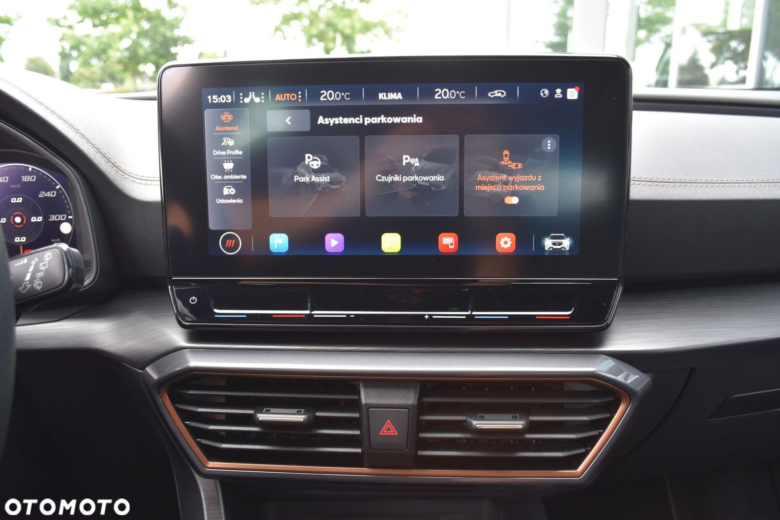 Cupra Formentor 2.0 TSI 4Drive DSG - 22