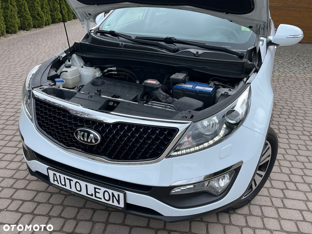 Kia Sportage - 34