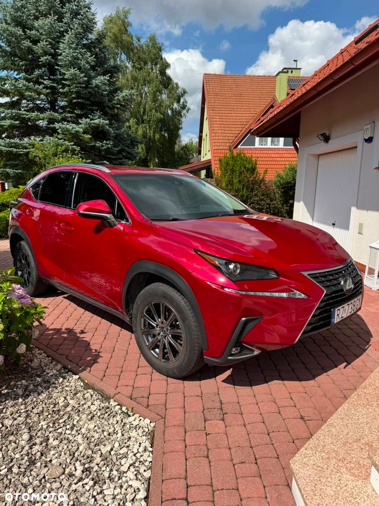 Lexus NX 300 AWD - 7