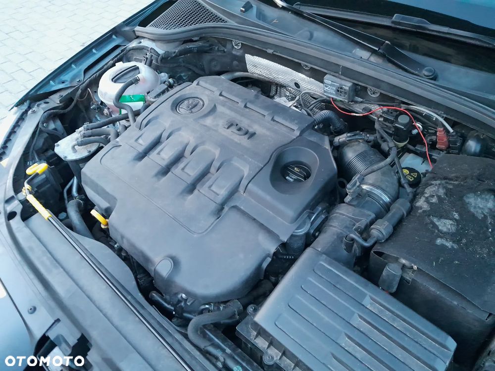 Skoda Octavia 2.0 TDI (Green tec) DSG Joy - 28