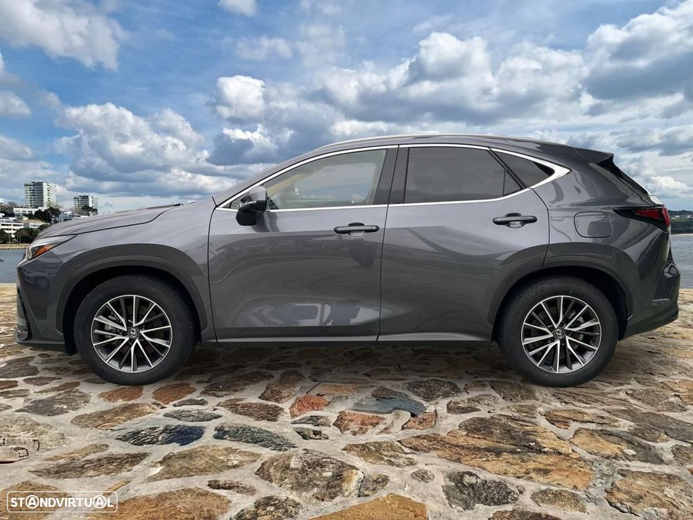 Lexus NX 450h+ - 8