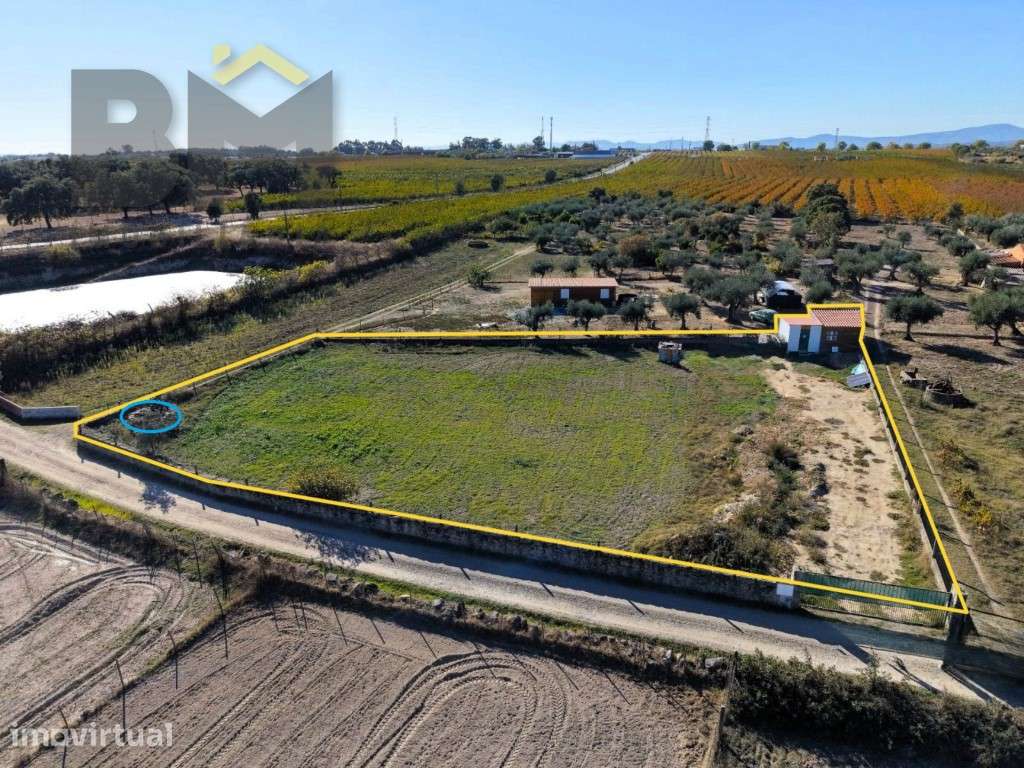 Quinta com 2.000 m² na Lardosa - Grande imagem: 2/6