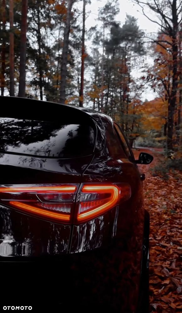 Alfa Romeo Stelvio 2.0 Turbo Veloce Q4 - 2
